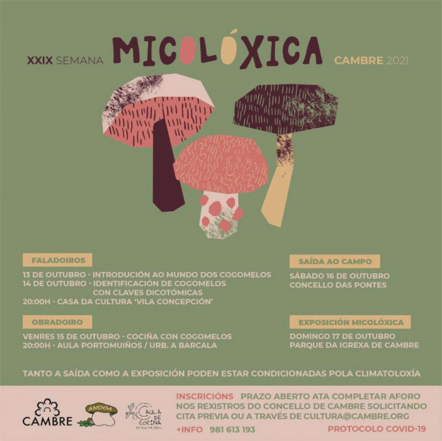 Cambre celebra su XXIX Semana Micolóxica con salidas al campo, charlas y un taller de cocina con Tino Otero