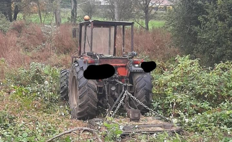 Decenas de velutinas atacan a un vecino de Portas cuando desbrozaba una finca en A Quenlla