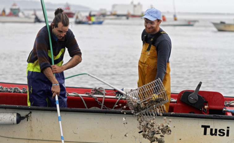 El primer día de libre marisqueo confirma el abandono de Os Lombos y la reducción de barcos