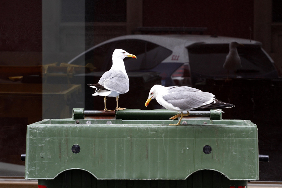 Los socialistas llevan a Pleno este mes los pliegos del contrato de la basura y la limpieza viaria