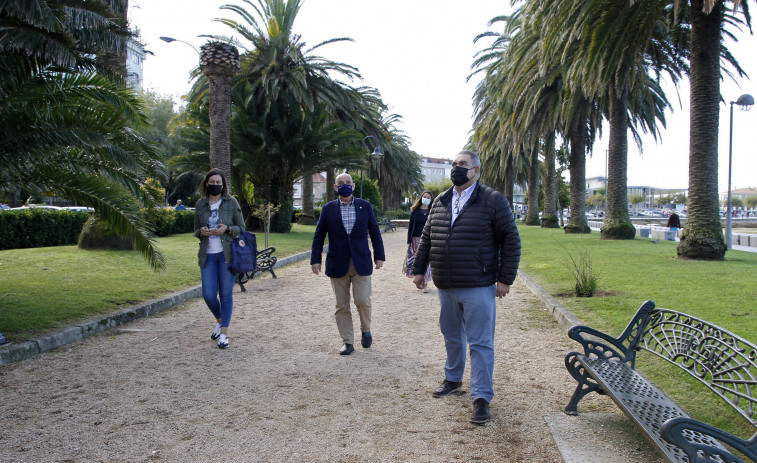 El PP denuncia que la falta de cuidado de las palmeras de A Calzada obligará a su tala