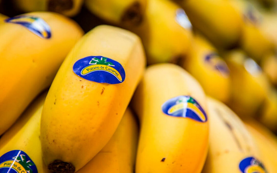 La patronal de Ribeira recauda donativos para damnificados por el volcán de La Palma con reparto de plátanos de Canarias