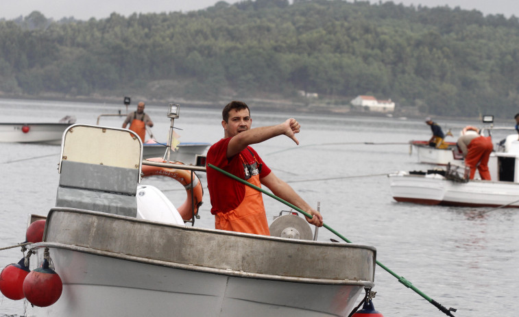 La primera semana del libre marisqueo evidencia la falta de productividad de Os Lombos