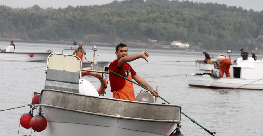 La primera semana del libre marisqueo evidencia la falta de productividad de Os Lombos