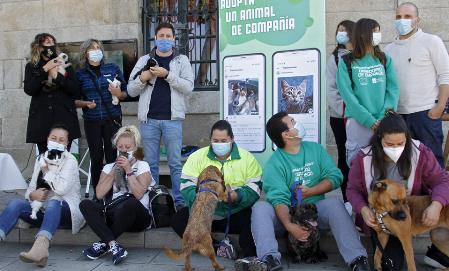 Concello y Refugio llaman a la adopción responsable ante el aumento del abandono animal