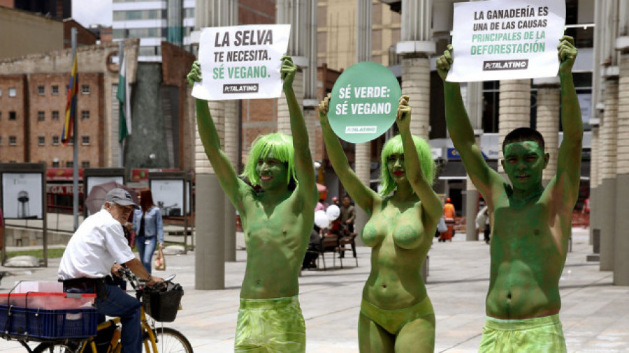 Ser vegetariano es una cosa de izquierdas, según un estudio de la Universidad de Granada