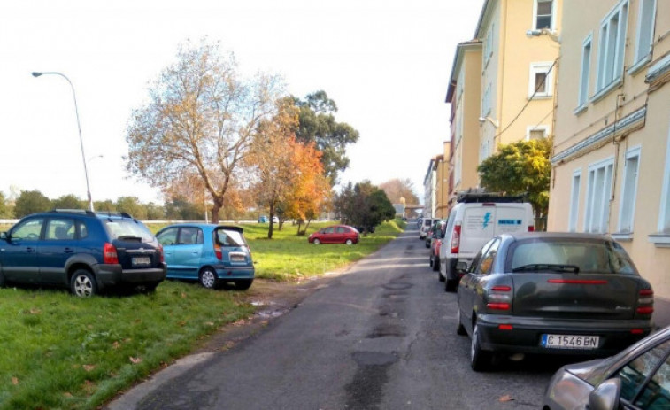 Un jabalí ataca a una mujer que paseaba a su perro en Ferrol