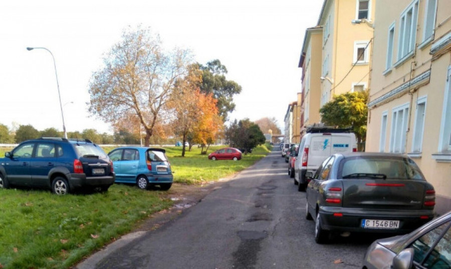 Un jabalí ataca a una mujer que paseaba a su perro en Ferrol