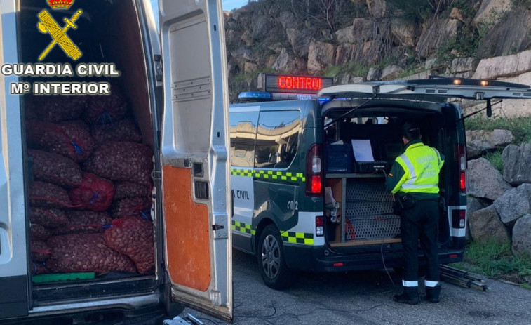 Interceptan 900 kilos de almeja clandestina con destino a Cambados