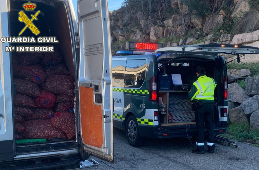 Interceptan 900 kilos de almeja clandestina con destino a Cambados