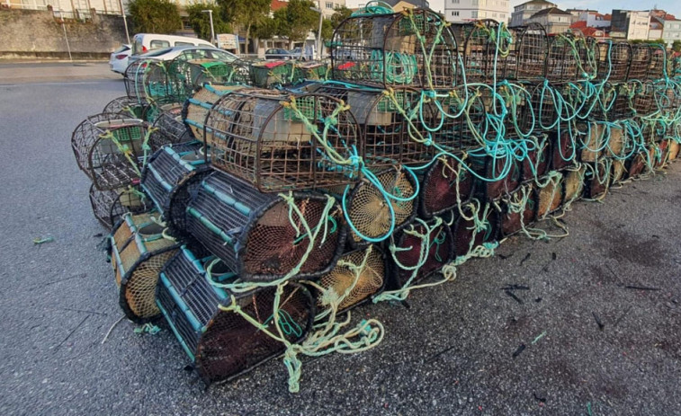 Decomisan más de 400 kilos de marisco en los puertos de O Grove, Tragove y O Xufre
