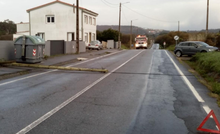 Un herido en un atropello en un paso de cebra junto el cruce de las avenidas Constitución y Barraña