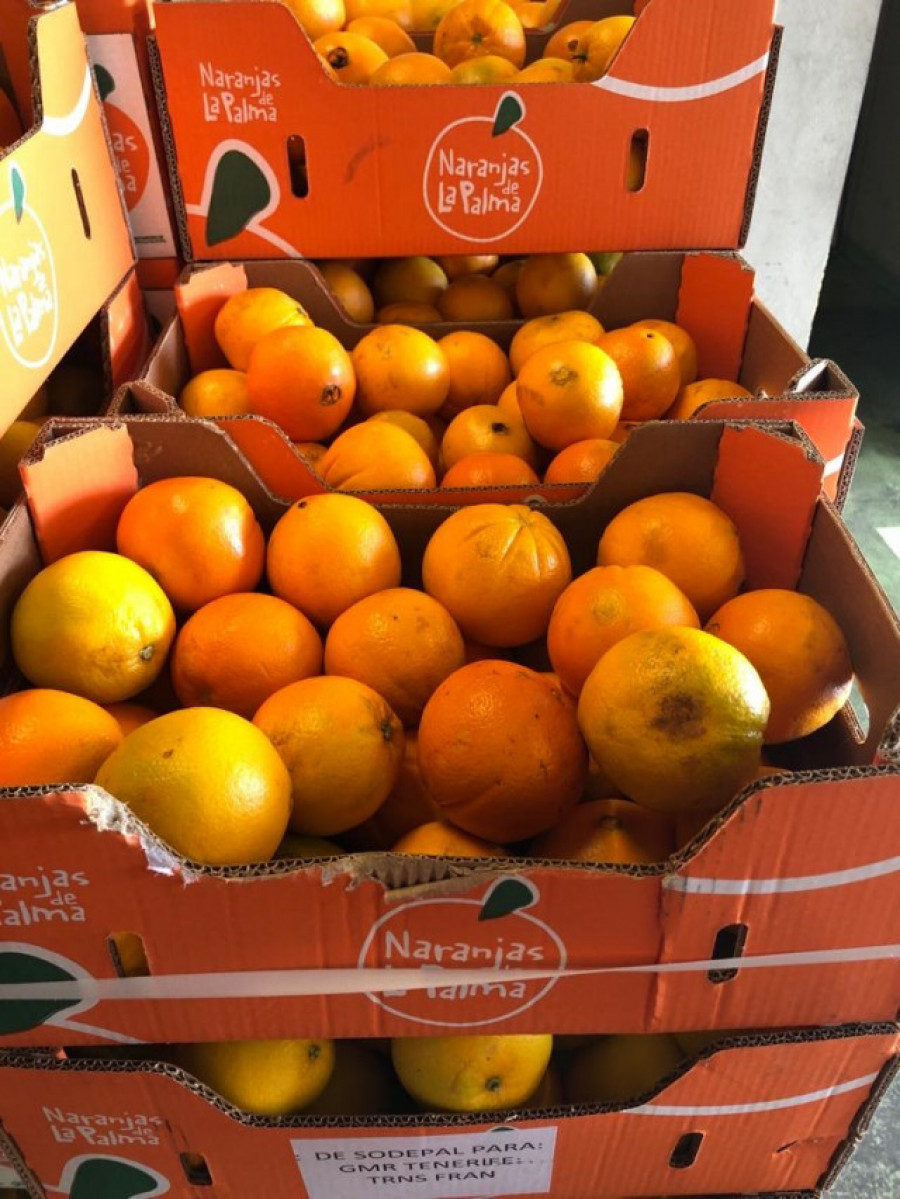 Las primeras naranjas del volcán de La Palma ya están a la venta
