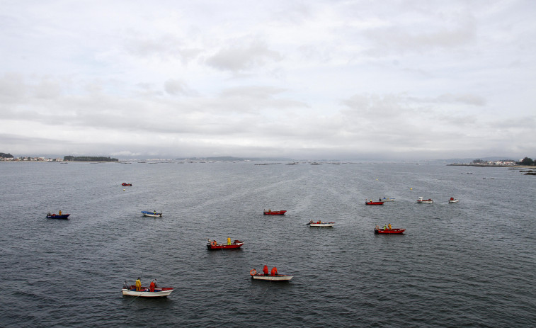 La Xunta hará controles en lonja para decidir si el libre marisqueo sigue abierto en febrero