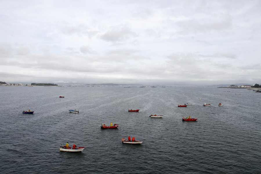 La Xunta hará controles en lonja para decidir si el libre marisqueo sigue abierto en febrero