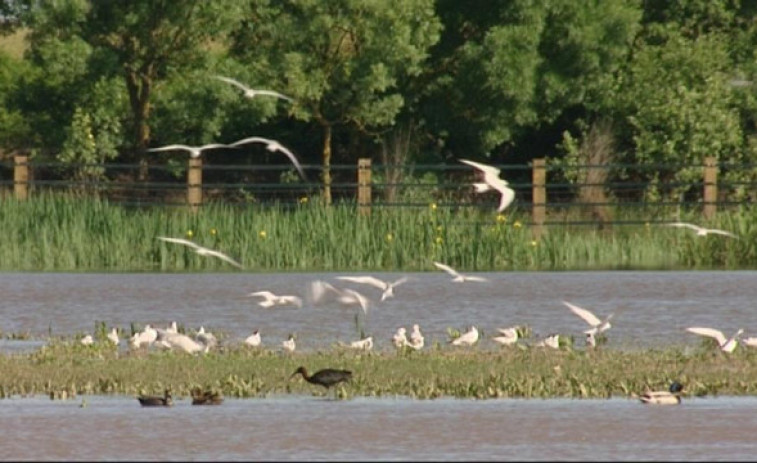 Doñana, excluida de la lista verde del organismo ambiental más grande del mundo