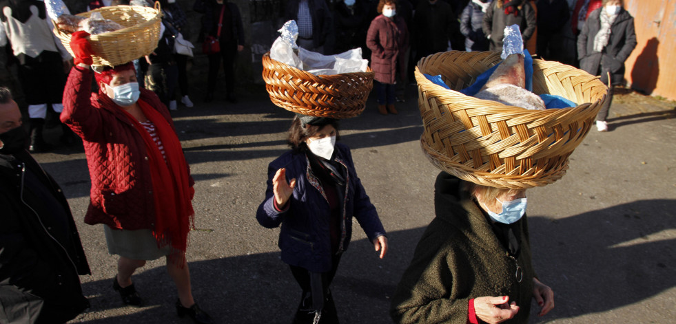 Valga revive a vella tradición da procesión dos lacóns, con menos exemplares pero moito público