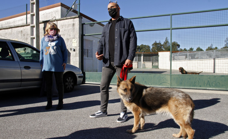 Denuncian el posible “secuestro”  de dos perros a los que se les perdió  la pista hace unos días en Guillán