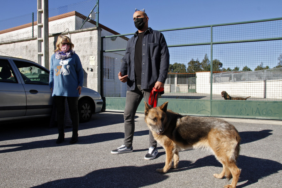Denuncian el posible “secuestro”  de dos perros a los que se les perdió  la pista hace unos días en Guillán