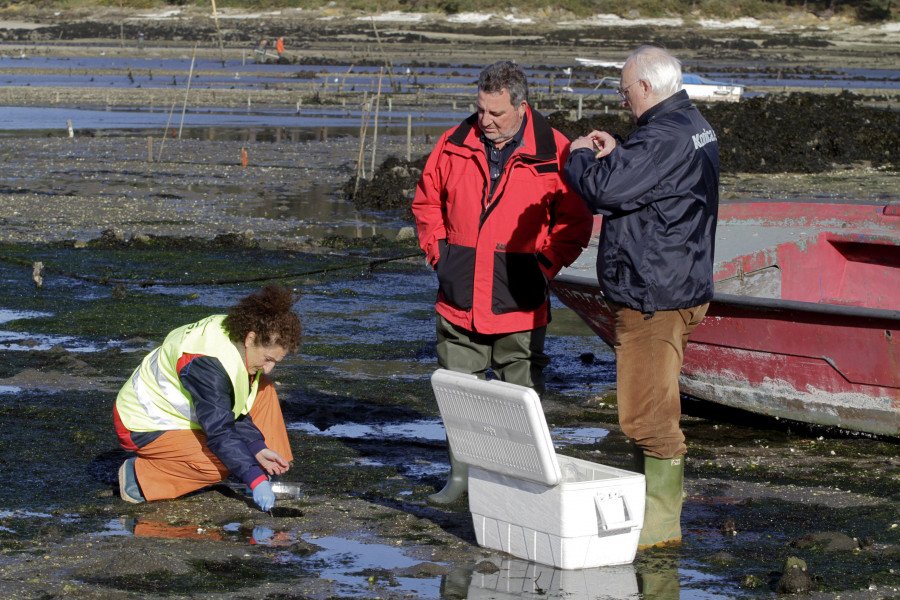 ¿Qué es lo que contamina las aguas de la Ría de Arousa?