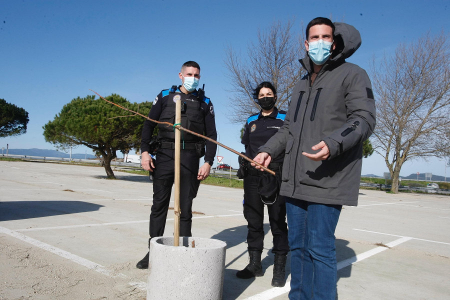 ¿Quién ha talado los más de 130 árboles que A Illa plantó en el aparcamiento de O Bao?