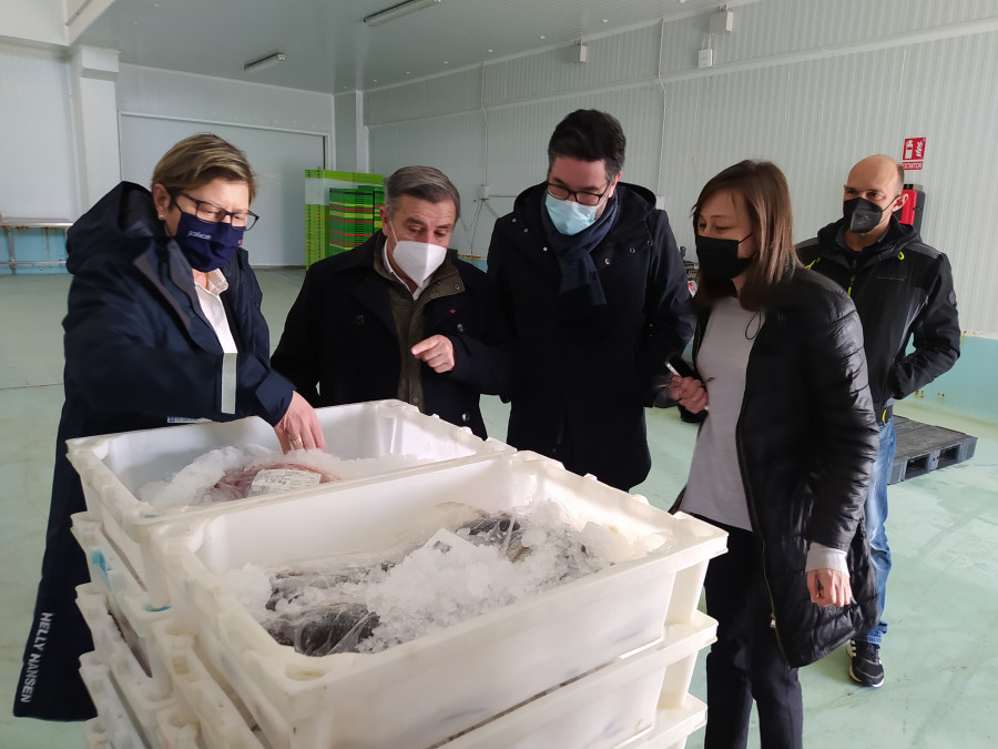 La conselleira do Mar reclama desde Ribeira al Gobierno español que se habiliten corredores seguro para transporte de alimentos y servicios esenciales