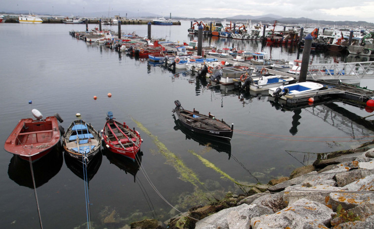 La flota reclama al Gobierno una rebaja mínima de 0,35 céntimos en el litro de gasoil