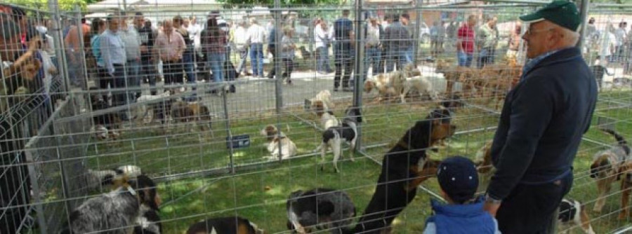 La Xunta alega contra la intención del Gobierno de obligar esterilizar a los perros de caza