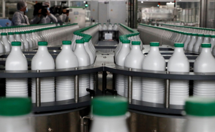 El consumo de más de 2 raciones de lácteos al día aporta el 25% de las necesidades hídricas según expertos