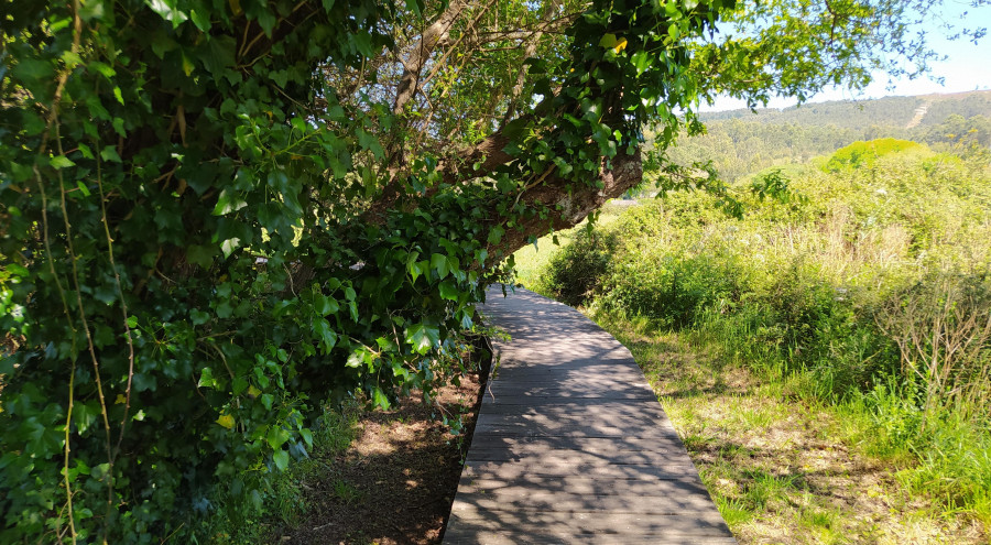 Denuncian zonas inaccesibles y deficiente conservación del paseo del río Arlés, en Ribeira