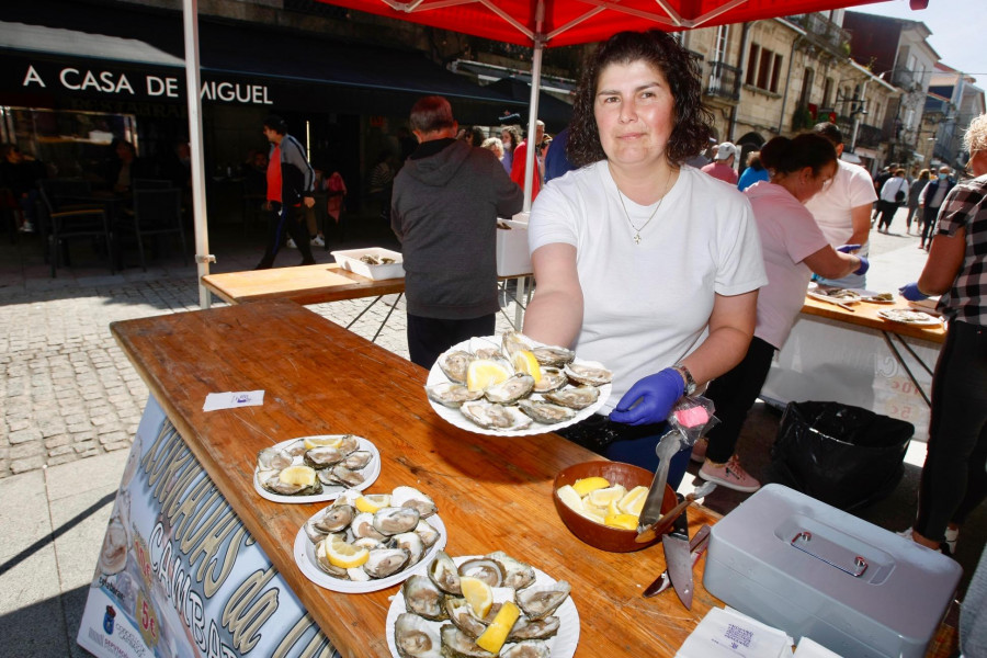 Las Jornadas de la Ostra animan el casco histórico de Cambados con exaltación gastronómica y música