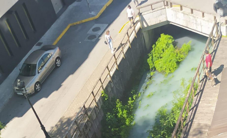 Investigan el origen de un vertido que tiñó de blanco el río Bermaña en Caldas