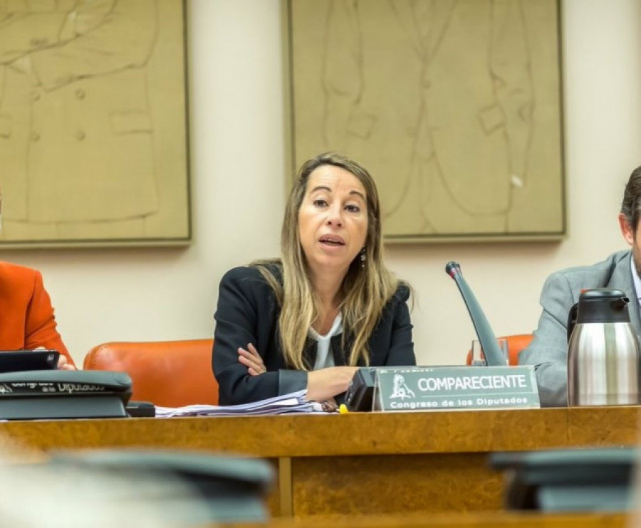 El PSOE pedirá imputación de la funcionaria Elena Collado por las mascarillas