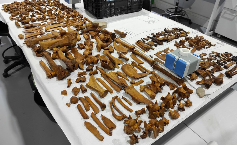 Descubren en la isla de Sálvora un yacimiento romano que podría ser parte de una salazón