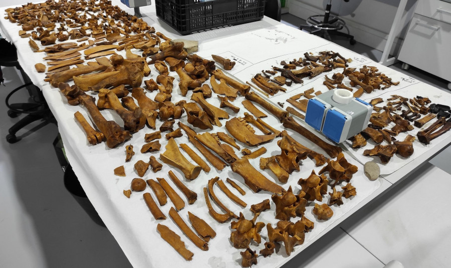 Descubren en la isla de Sálvora un yacimiento romano que podría ser parte de una salazón