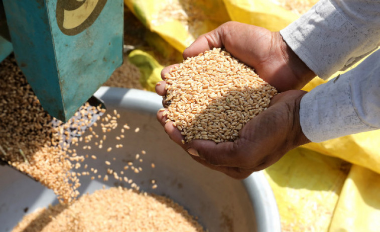 Rusia avisa que no exportará cereales en detrimento de su propio mercado