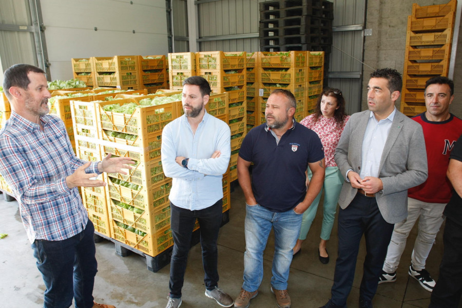 Medio Rural concede una ayuda trianual de casi 370.000 euros a la cooperativa Horsal de Cambados