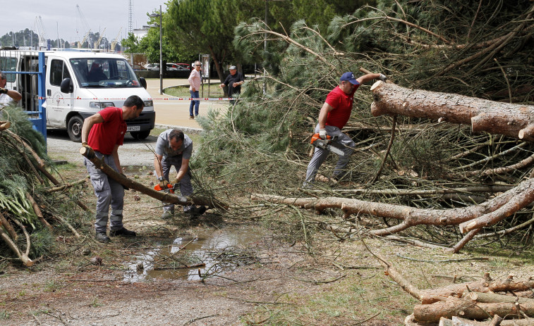 Podemos y VeC acusan a Ravella de basar el cuidado de las zonas verdes en 