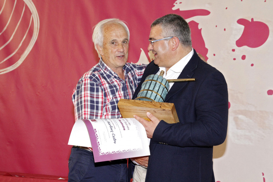 Francisco Martínez y Celso Rubén Vieites ganan los primeros premios del concurso