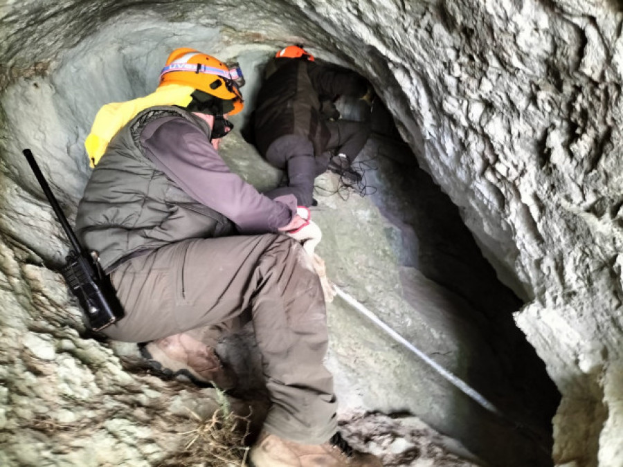 Confirman que el osezno está vivo y en la misma cueva que la hembra atacada