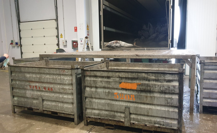 Un operario resulta herido en Cambados tras caer dentro de un contenedor de atunes