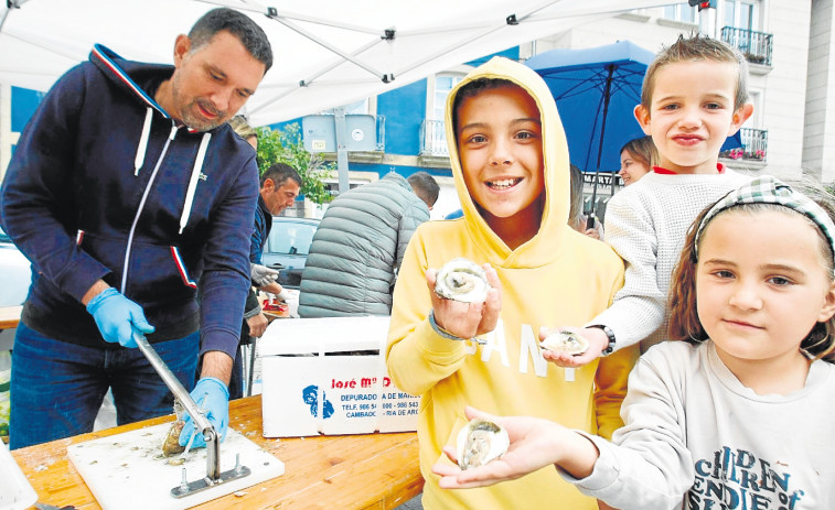 Cambados inicia tres días de la Festa da Ostra con recaudación en favor del Club Juventud