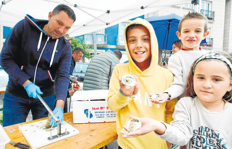 Cambados inicia tres días de la Festa da Ostra con recaudación en favor del Club Juventud