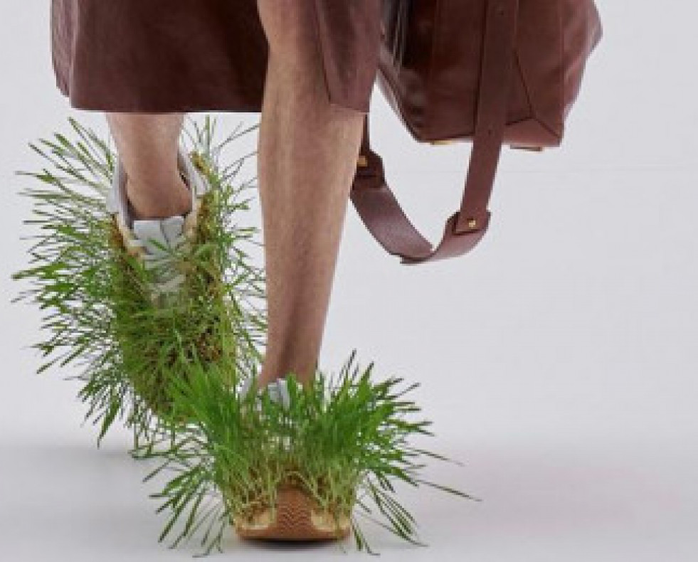 ZapatosLoeweHierba