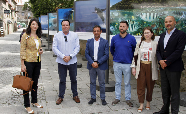 La calle Príncipe se convierte en sala de exposiciones sobre los océanos y su preservación