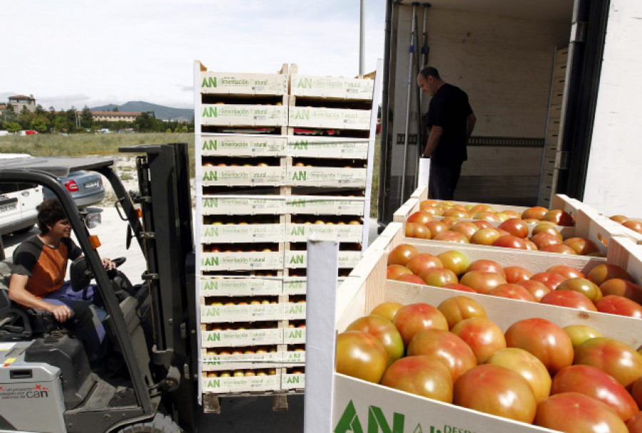 El precio de los alimentos se multiplica hasta por 10 del campo al súper