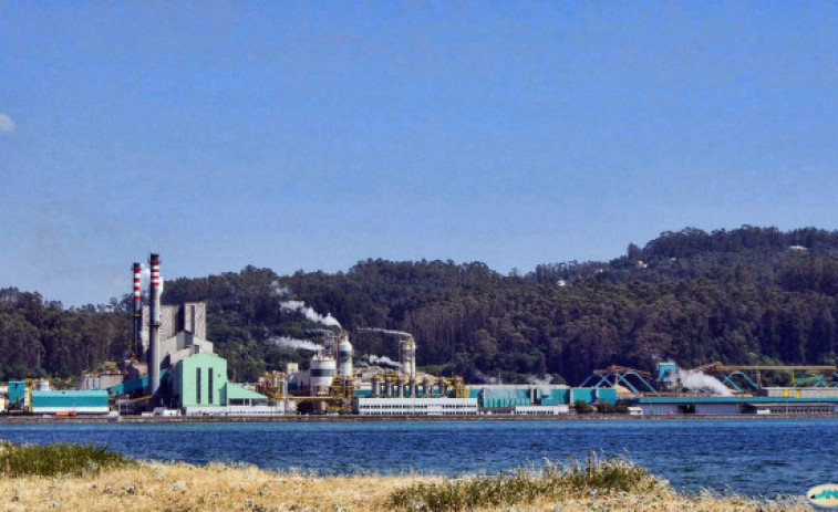 Ence para temporalmente su actividad en Pontevedra por bajo caudal del Lérez