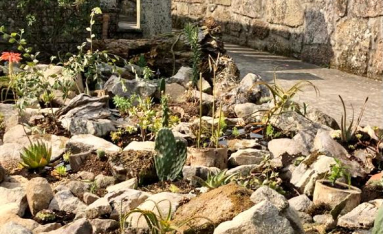 Una rocalla de plantas xerófitas para el Pazo de Vista Real