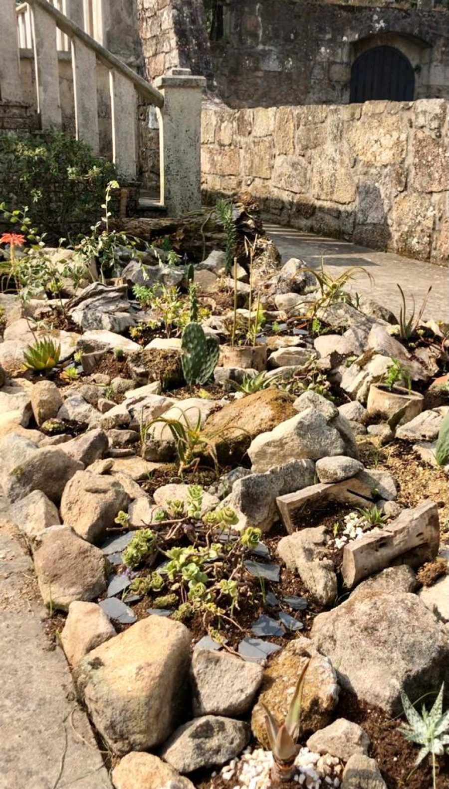 Una rocalla de plantas xerófitas para el Pazo de Vista Real