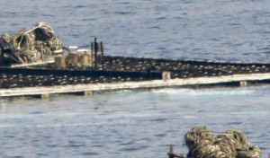 La Xunta estudia autorizar cuerdas recolectoras de mejilla en las bateas de ostra